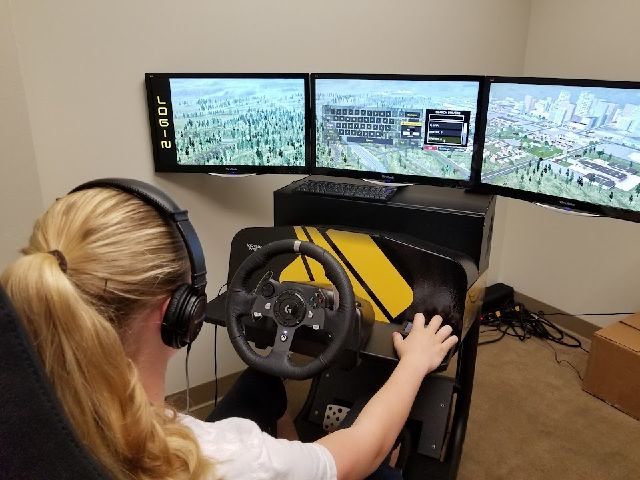 The Driving Experience, Driving Simulator